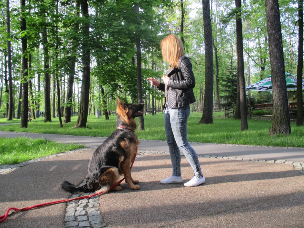 Emi w trakcie sesji szkoleniowej ze swoja opiekunka